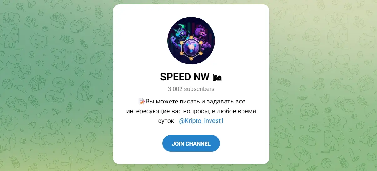 Внешний вид телеграм канала SPEED NW.jpg